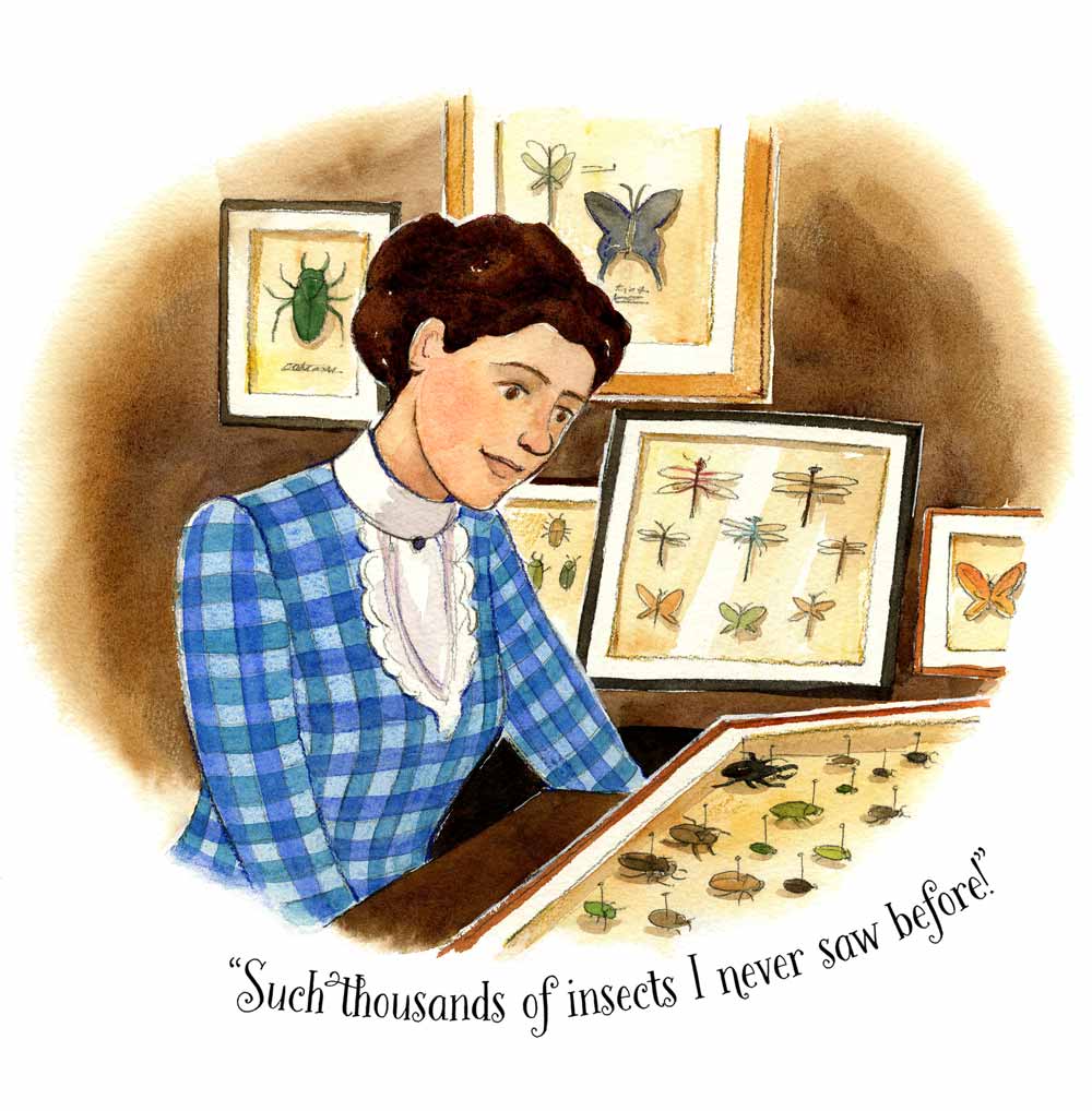 Watercolor illustration spot by Jessica Lanan showing a young woman with brown hair and a blue gingham late 19th-century dress looking at numerous cases of insects mounted with pins.