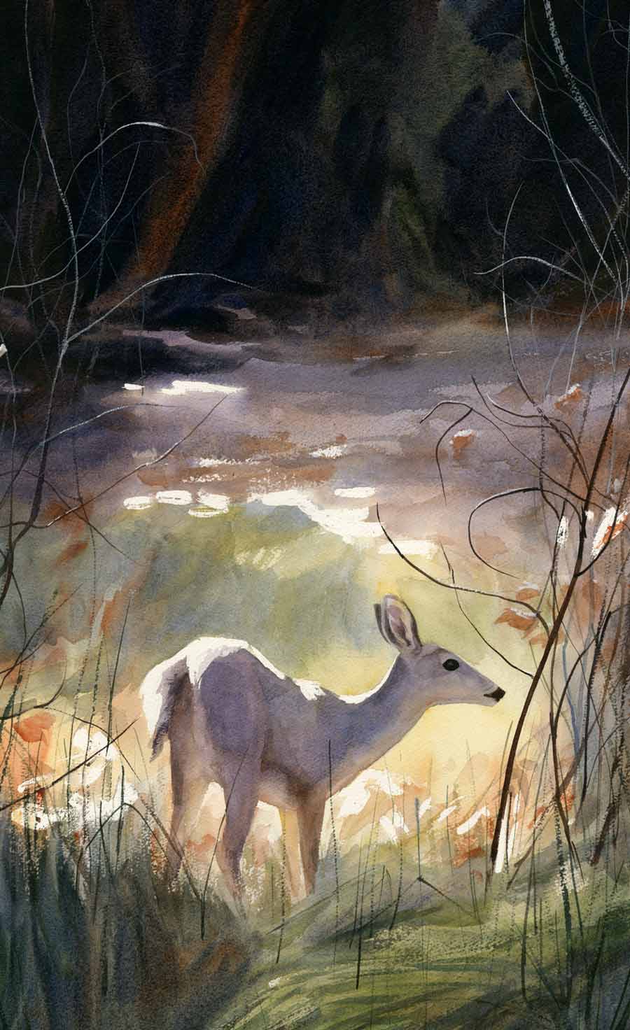 Large portrait-style watercolor painting of a white-tail doe standing in sunlight among foliage and bare branches with a dark background